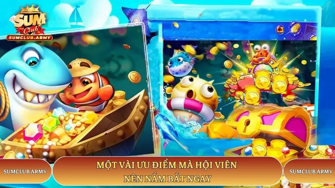 Một vài ưu điểm mà hội viên Sumclub nên nắm bắt ngay